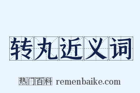 转丸近义词是什么意思的图片